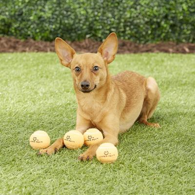 Show full view: Hyper Pet 4 Pack of Balls for Dogs, Orange, Mini slide 2 of 7