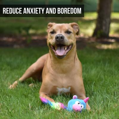 Show full view: Hyper Pet Doggie Pal Unicorn Squeaky Interactive Plush Dog Toy slide 2 of 8