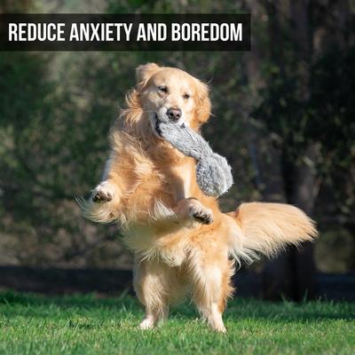 Show full view: Hyper Pet Doggie Tail Interactive Dog Toy slide 4 of 12