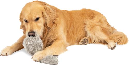 Show full view: Hyper Pet Doggie Tail Interactive Dog Toy slide 6 of 12