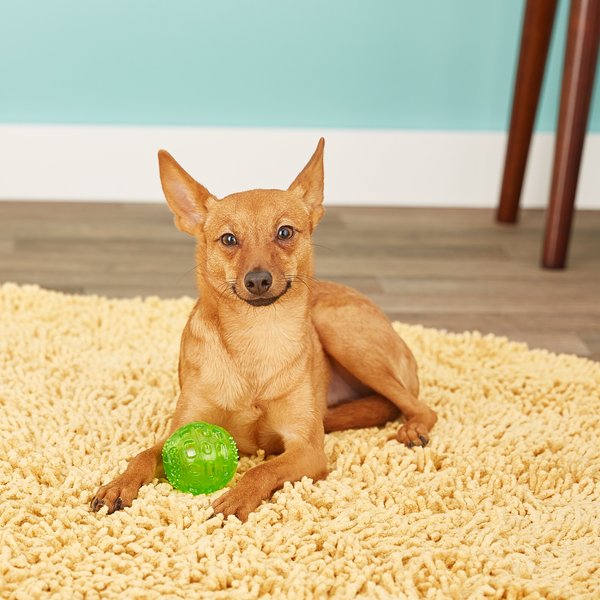 Show full view: Hyper Pet Dura-Squeaks Dog Chew Toy, Ball slide 4 of 12