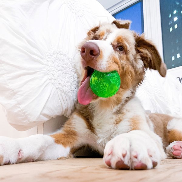 Show full view: Hyper Pet Dura-Squeaks Dog Chew Toy, Ball slide 6 of 12