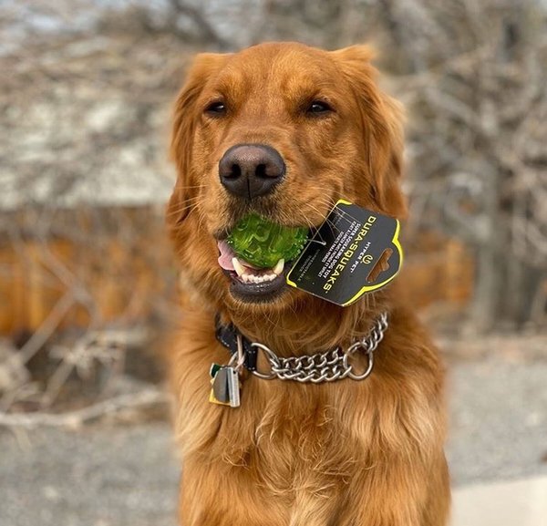 Show full view: Hyper Pet Dura-Squeaks Dog Chew Toy, Ball slide 8 of 12
