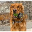 Show in main carousel: Hyper Pet Dura-Squeaks Dog Chew Toy, Ball slide 8 of 12