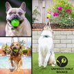Show in main carousel: Hyper Pet Dura-Squeaks Dog Chew Toy, Ball slide 9 of 12