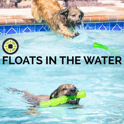 Show full view: Hyper Pet Dura-Squeaks Dog Chew Toy, Large Stick slide 3 of 12