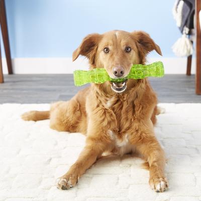 Show full view: Hyper Pet Dura-Squeaks Dog Chew Toy, Large Stick slide 4 of 12