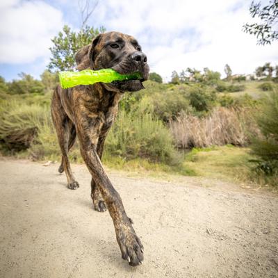 Show full view: Hyper Pet Dura-Squeaks Dog Chew Toy, Large Stick slide 7 of 12