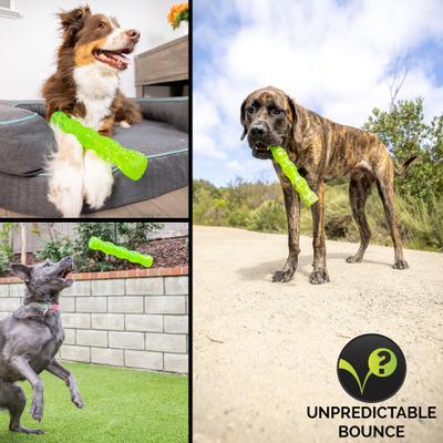 Show full view: Hyper Pet Dura-Squeaks Dog Chew Toy, Large Stick slide 9 of 12