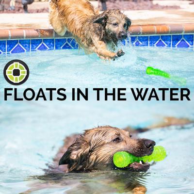 Show full view: Hyper Pet Dura-Squeaks Dog Chew Toy, Medium Stick slide 3 of 12