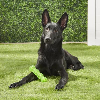 Show full view: Hyper Pet Dura-Squeaks Dog Chew Toy, Medium Stick slide 4 of 12