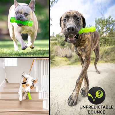 Show full view: Hyper Pet Dura-Squeaks Dog Chew Toy, Medium Stick slide 8 of 12