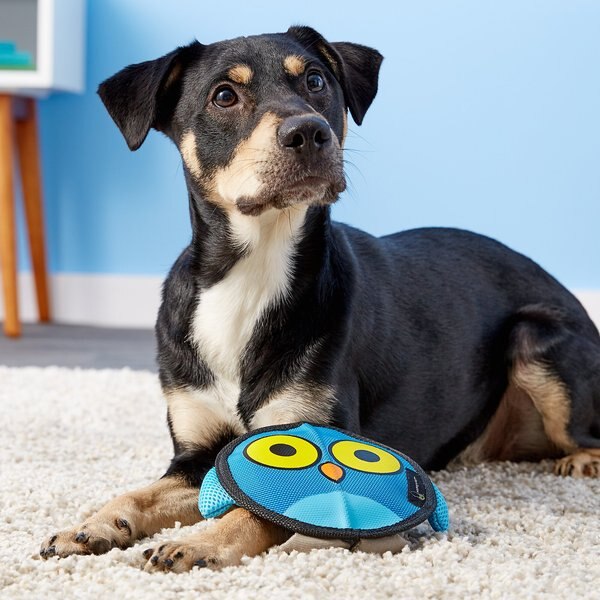 Hyper Pet Firehose Flyers Owl Dog Toy