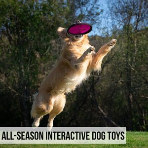 Hyper Pet Flippy Flopper Flying Disc Dog Toy, 9-in, 1 pack