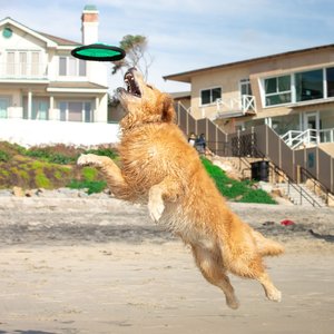 Hyper Pet Flippy Flopper Flying Disc Dog Toy, 9-in, 1 pack