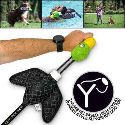 Show full view: Hyper Pet Flying Series Dog Toy, Flying Green Duck slide 6 of 9