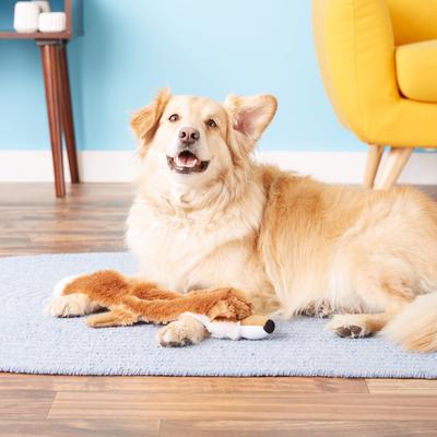 Show full view: Hyper Pet Fox Critter Skinz Dog Toy, Large slide 2 of 9