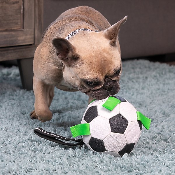 Show full view: Hyper Pet Grab Tabs Soccer Ball Dog Toy, 5-in slide 2 of 9