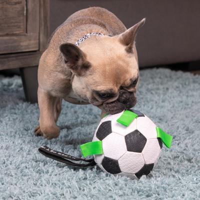 Show full view: Hyper Pet Grab Tabs Soccer Ball Dog Toy, 5-in slide 3 of 10