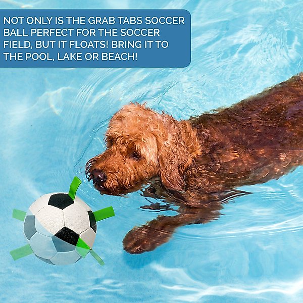 Show full view: Hyper Pet Grab Tabs Soccer Ball Dog Toy, 5-in slide 5 of 9