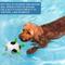 Show in main carousel: Hyper Pet Grab Tabs Soccer Ball Dog Toy, 5-in slide 6 of 10