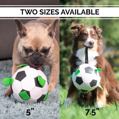 Show full view: Hyper Pet Grab Tabs Soccer Ball Dog Toy, 5-in slide 8 of 10