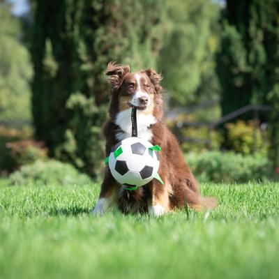 Show full view: Hyper Pet Grab Tabs Soccer Ball Dog Toy, 7.5-in slide 3 of 10