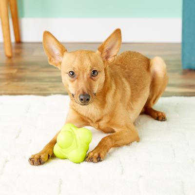 Show full view: Hyper Pet Hyper Chewz Dog Chew Toy, Bumpy Ball slide 8 of 11