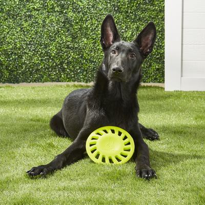 Show full view: Hyper Pet Hyper Chewz Dog Chew Toy, Hubcap slide 3 of 6