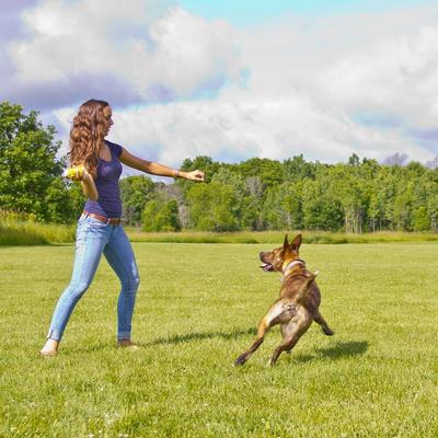 Show full view: Hyper Pet Hyper Squawkers Dog Chew Toy, Bone slide 4 of 9