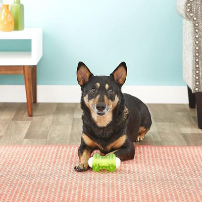 Show full view: Hyper Pet Hyper Squawkers Dog Chew Toy, Bone slide 6 of 9