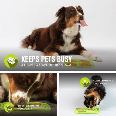 Show full view: Hyper Pet IQ Rewards Cat & Dog Slow Feeder, Green slide 4 of 10