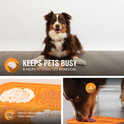 Show full view: Hyper Pet IQ Rewards Cat & Dog Slow Feeder, Orange, Large slide 4 of 10