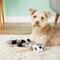 Show in main carousel: Hyper Pet Raccoon Critter Skinz Dog Toy, Large slide 2 of 11