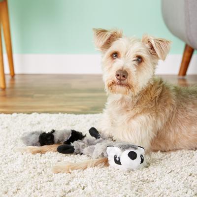 Show full view: Hyper Pet Raccoon Critter Skinz Dog Toy, Large slide 2 of 11