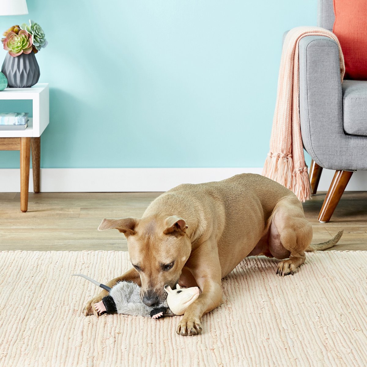 Hyper Pet Real Skinz Dog Toy
