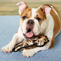 Hyper Pet RealTree Interactive Dog Toy, Moose slide 2 of 2