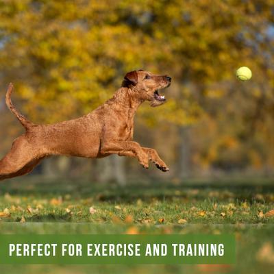 Show full view: Hyper Pet Tennis Balls Dog Toy, 12 count slide 5 of 7