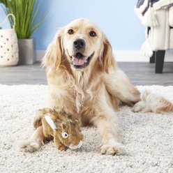 Hyper Pet Wildlife Critter Dog Toy, Chipmunk slide 2 of 6
