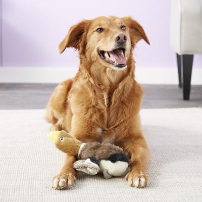 Show full view: Hyper Pet Wildlife Critter Dog Toy, Mallard Duck slide 3 of 11