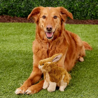 Show full view: Hyper Pet Wildlife Critter Dog Toy, Rabbit slide 2 of 11