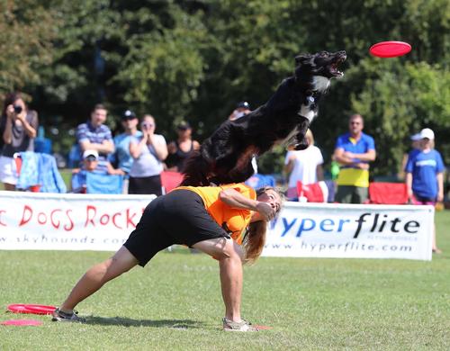 Show full view: Hyperflite K-10 Jawz Disc Dog Toy, Black slide 5 of 12