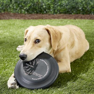 Show full view: Hyperflite K-10 Jawz Disc Dog Toy, Black slide 10 of 12