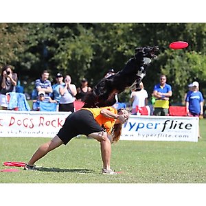 Hyperflite K-10 Jawz Disc Dog Toy, Lemon-Lime