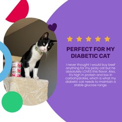 I and Love and You Beef Right Meow! Pate Grain-Free Canned Cat Food, 3-oz can, case of 4 slide 2 of 7