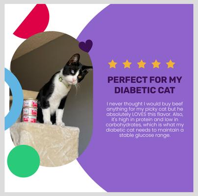 Show full view: I and Love and You Beef Right Meow! Pate Grain-Free Canned Cat Food, 3-oz, case of 24 slide 5 of 12