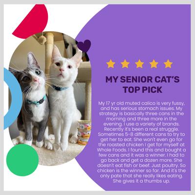 Show full view: I and Love and You Chicken Me Out Pate Grain-Free Canned Cat Food, 3-oz, case of 24 slide 5 of 12