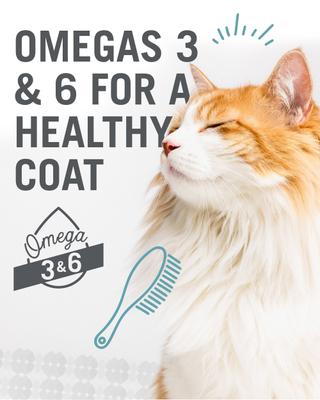 Show full view: I and Love and You Chicken Me Out Pate Grain-Free Canned Cat Food, 3-oz, case of 24 slide 9 of 12