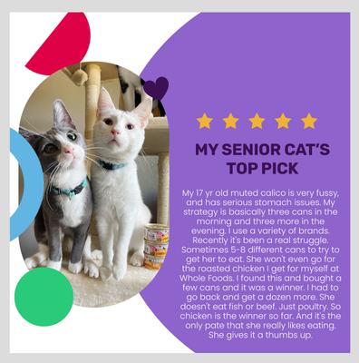 Show full view: I and Love and You Chicken Me Out Pate Grain-Free Canned Cat Food, 5.5-oz, case of 12 slide 5 of 12