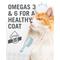 Show in main carousel: I and Love and You Chicken Me Out Pate Grain-Free Canned Cat Food, 5.5-oz, case of 12 slide 9 of 12